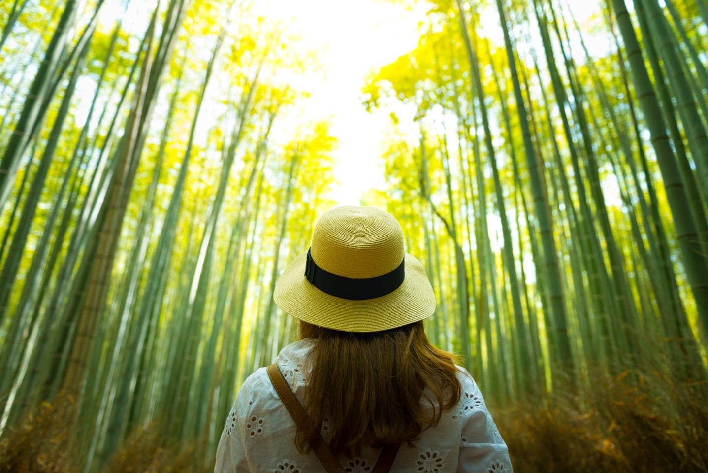 Walking-Tour durch Arashiyama thumbnail