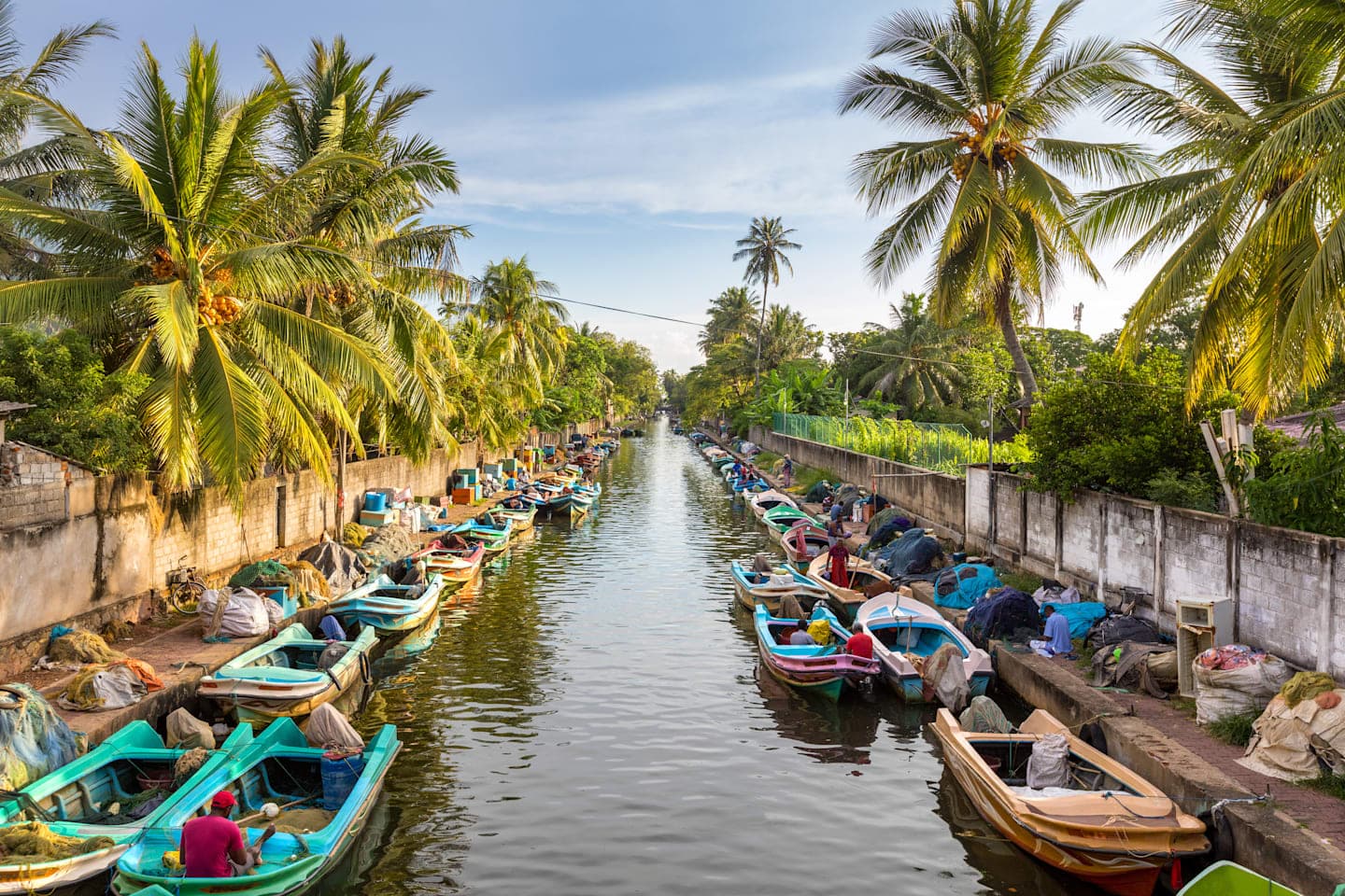 Transfer nach Dambulla & Besuch des 'Lellama' Fish Market in deiner journaway Gruppe thumbnail