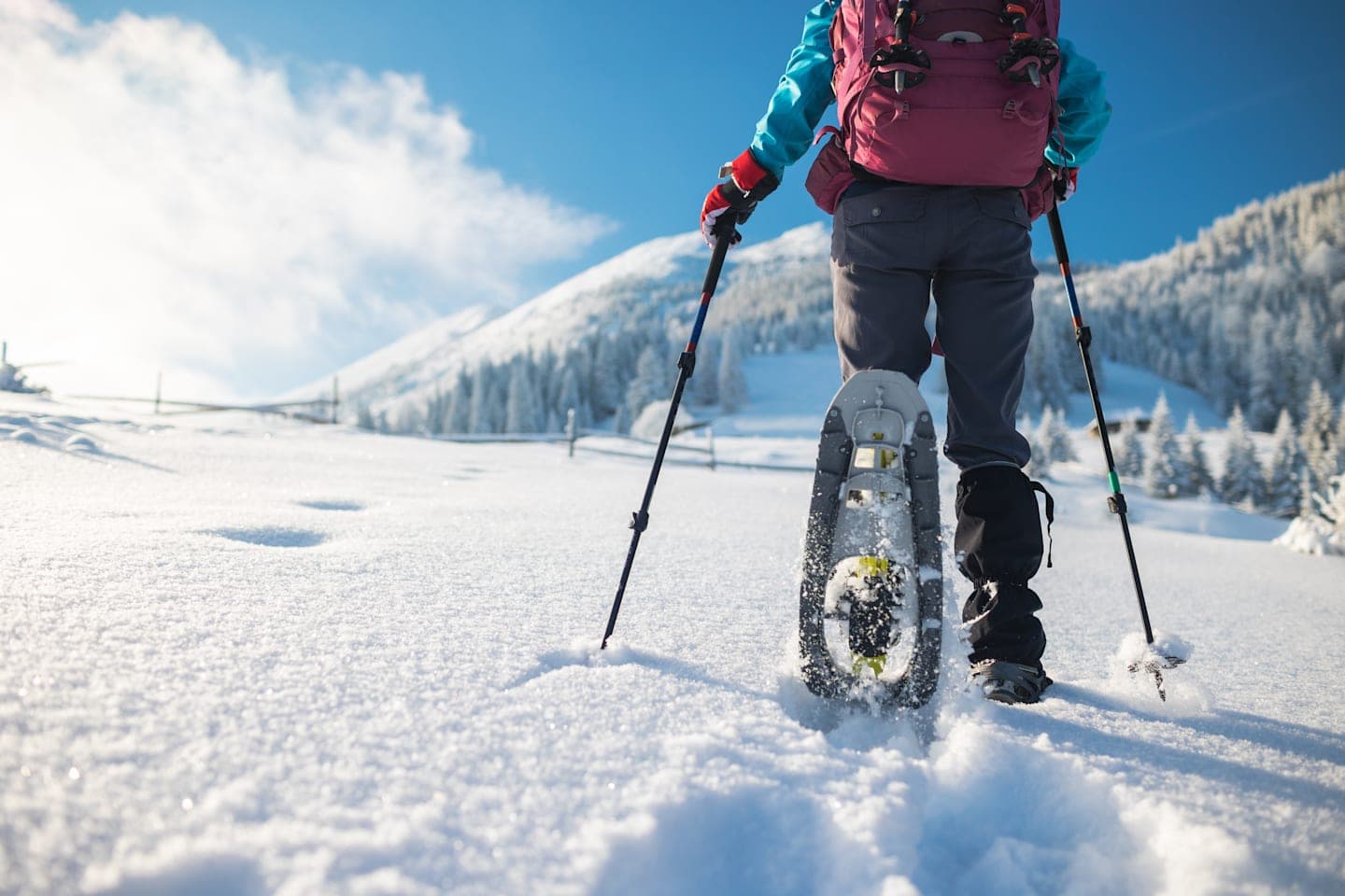 Schneeschuhwanderung durch Eis & Schnee thumbnail