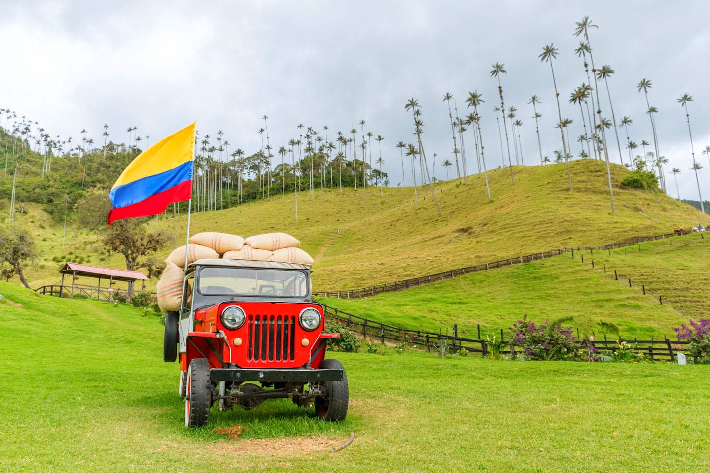 Jeepfahrt & Wanderung im Cocora-Tal thumbnail